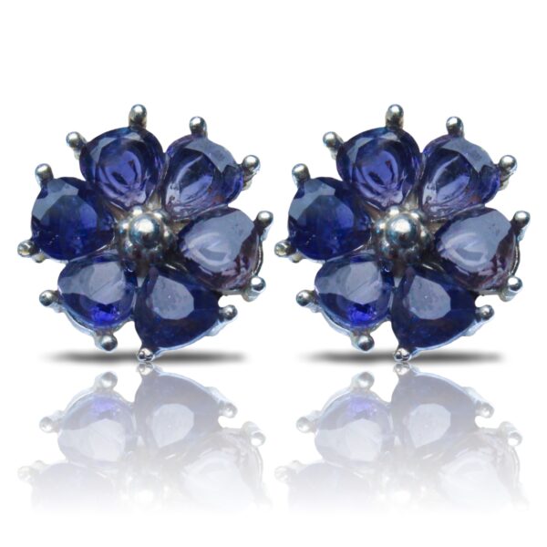 Iolite Treasure Studs - Image 2